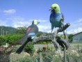 /album/galeria-de-imagenes/a1-las-aves-al-ingreso-de-gualaquiza-jpg/